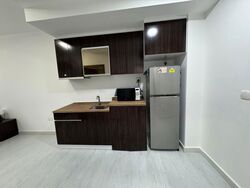 Loft @ Nathan (D10), Apartment #503314121